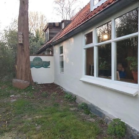 Вилла Vogelvrij Vierhuizen Экстерьер фото