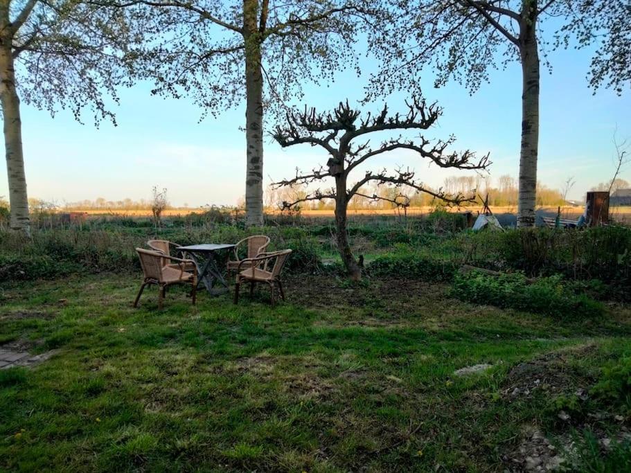 Вилла Vogelvrij Vierhuizen Экстерьер фото