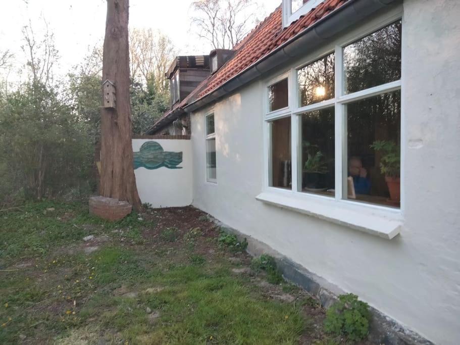 Вилла Vogelvrij Vierhuizen Экстерьер фото